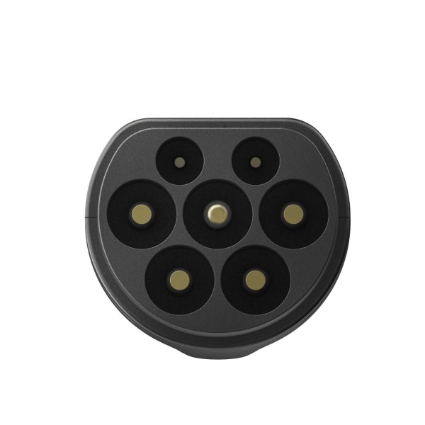 Adattatore EcoFlow DELTA Pro EV X-Stream Ricarica Rapida - Alta qualità Accessori Stazioni Energia Disponibile ora con spedizione veloce in tutto il mondo