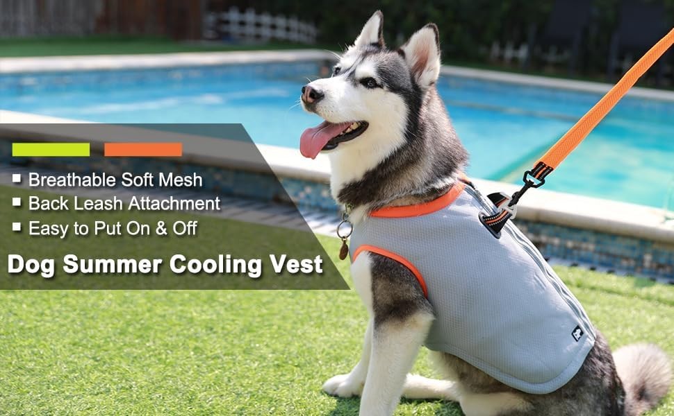 Dog Cooling Vest TrueLove TLG2511 Summer Size Large - High-quality Dog Cooling Vests Available now with fast shipping worldwide